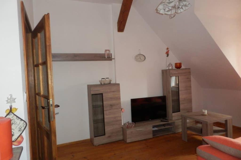 Zamecek Zdiky - Moderni Velky Apartman Bujanov Kültér fotó