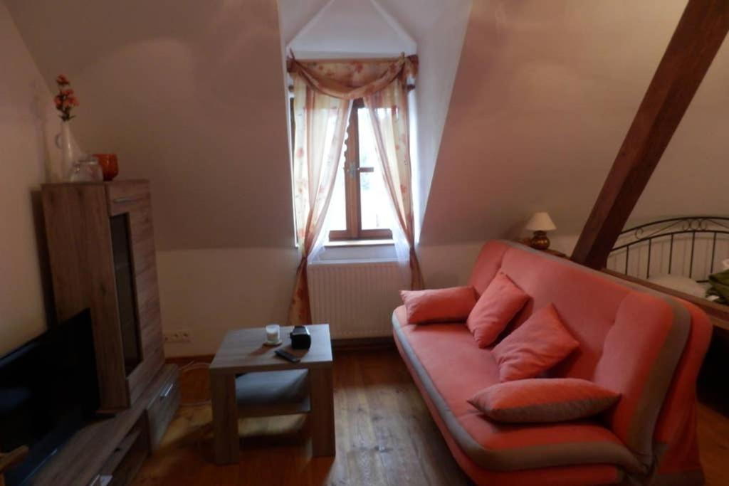 Zamecek Zdiky - Moderni Velky Apartman Bujanov Kültér fotó